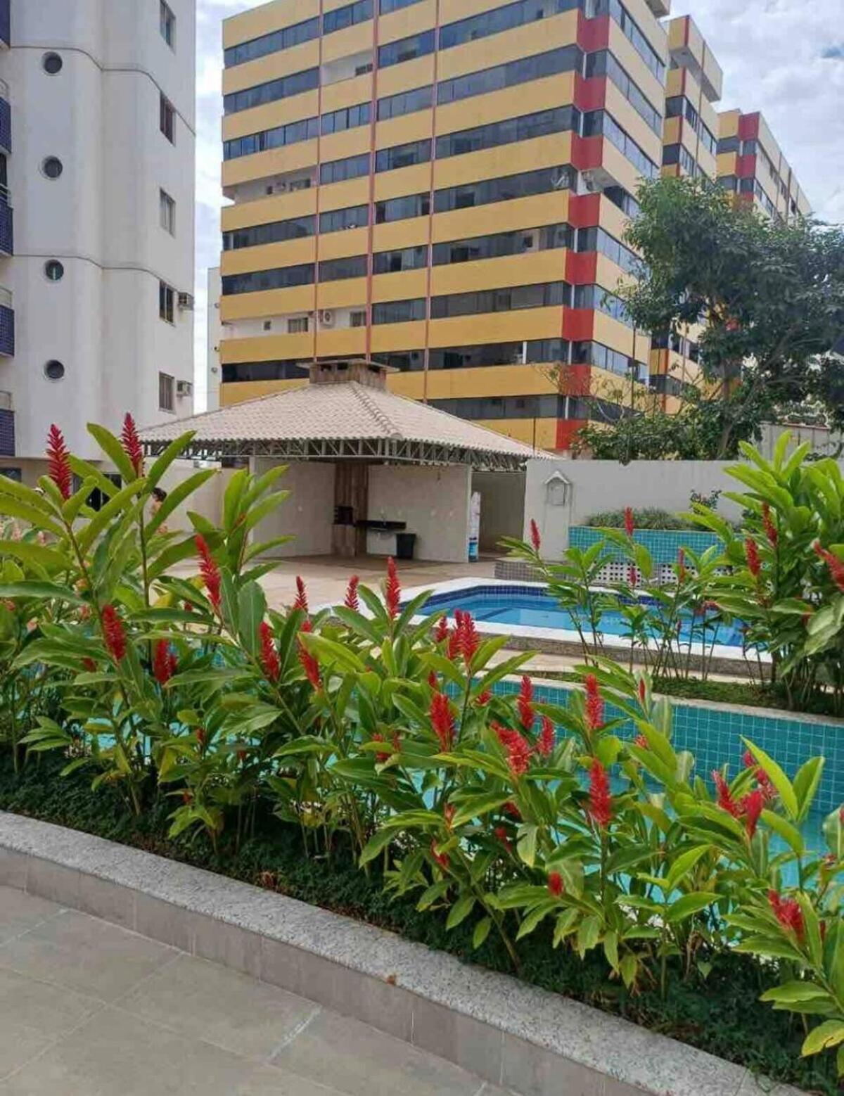 Aconchegante - *